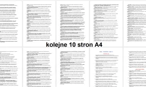 Przykładowe tematy zajęć rewalidacyjnych: rozwijanie umiejętności komunikacyjnych, logicznego myślenia, programowania i projektowania.