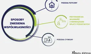 Grafika przedstawia sposoby zniesienia współwłasności nieruchomości: podział fizyczny, przyznanie na własność z obowiązkiem spłaty oraz podział cywilny.
