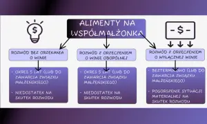 Schemat alimentów na małżonka przy rozwodzie: bez orzekania o winie, z orzeczeniem o winie obopólnej, z orzeczeniem o wyłącznej winie. Rozważ argumenty do rozwodu.