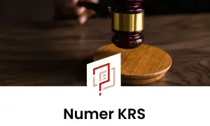 Młotek sędziowski nad deską, symbolizujący prawo. Pod spodem napis "Numer KRS", wyjaśniający, krs co to jest.