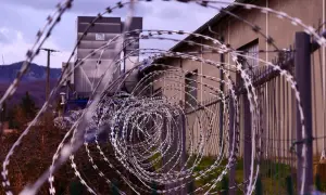 Kolczatka i ogrodzenie przed budynkiem przemysłowym.