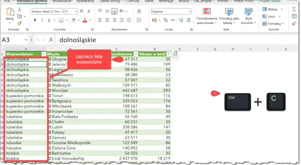W Excelu zaznaczono listę województw, przygotowując ją do kopiowania (Ctrl+C).