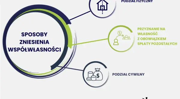 Grafika przedstawia sposoby zniesienia współwłasności nieruchomości: podział fizyczny, przyznanie na własność z obowiązkiem spłaty oraz podział cywilny.