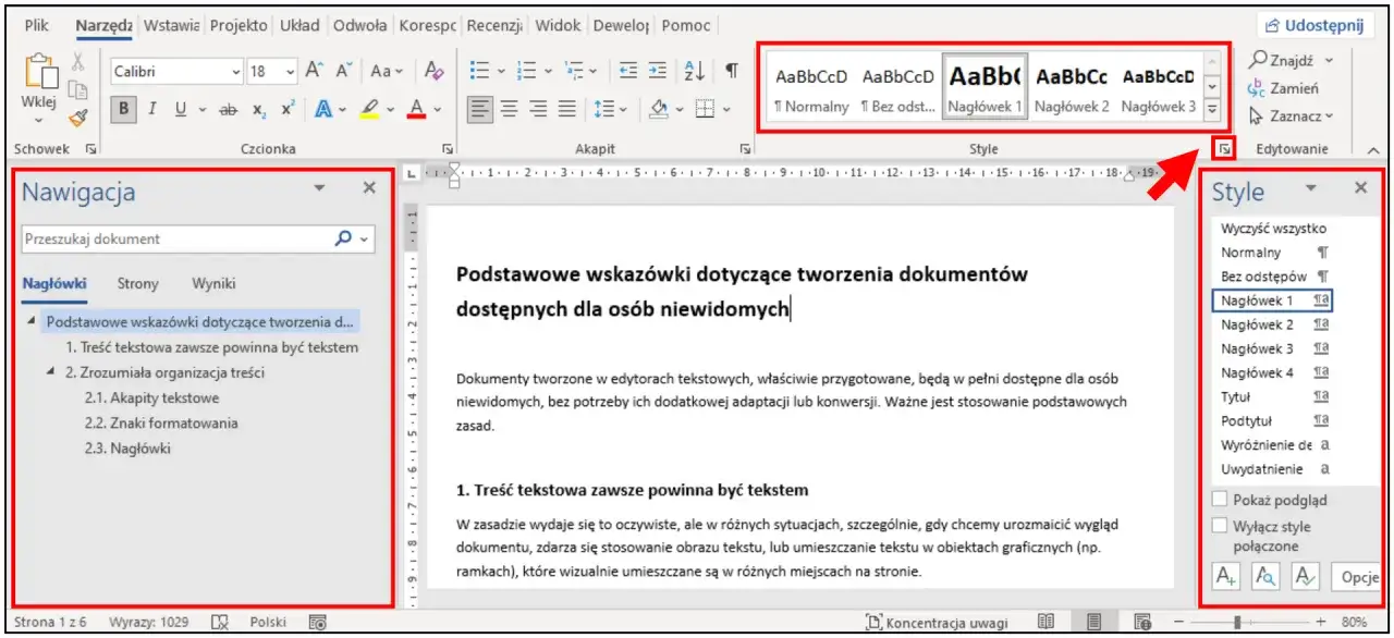 W programie Word widać panel 